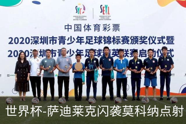 世界杯-萨迪莱克闪袭莫科纳点射 捷克痛失好局1-1南非