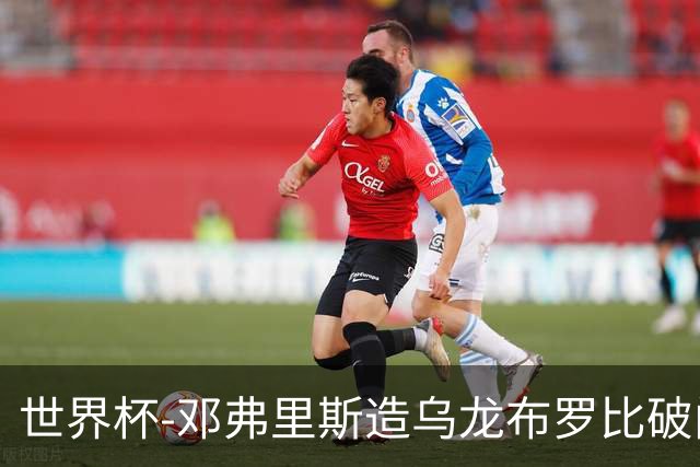 世界杯-邓弗里斯造乌龙布罗比破门 半场荷兰2-0突尼斯