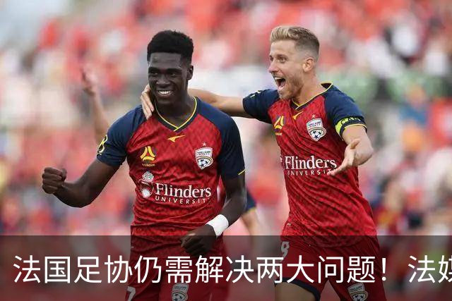 法国足协仍需解决两大问题！法媒：球员家属票数量+球员奖金谈判