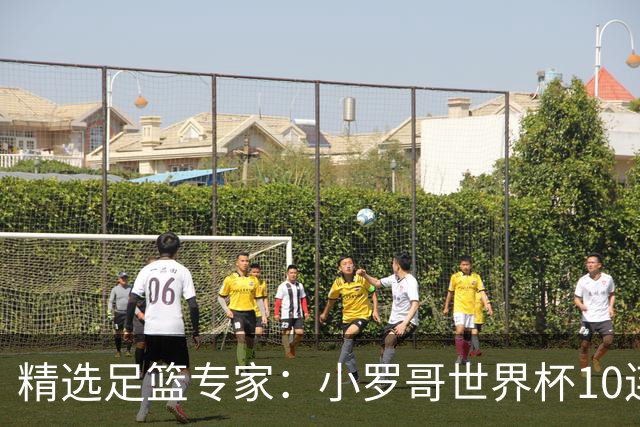 精选足篮专家：小罗哥世界杯10连红长线16中14！