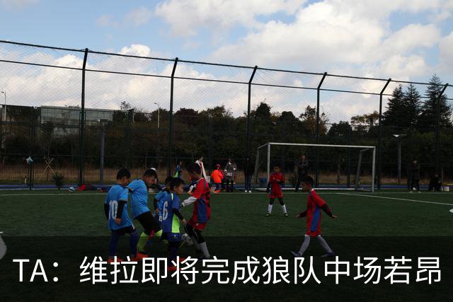 TA：维拉即将完成狼队中场若昂·戈麦斯的转会，费用约3500万英镑